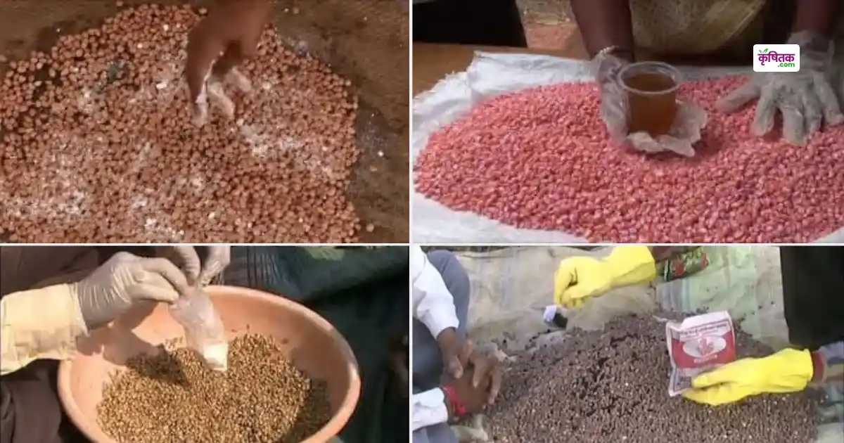 4 methods of seed treatment