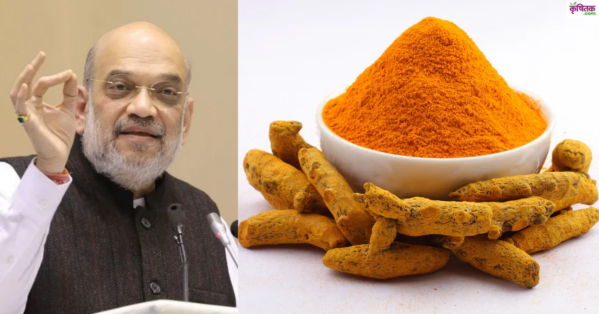 Amit Shah inaugurated the National Turmeric Board