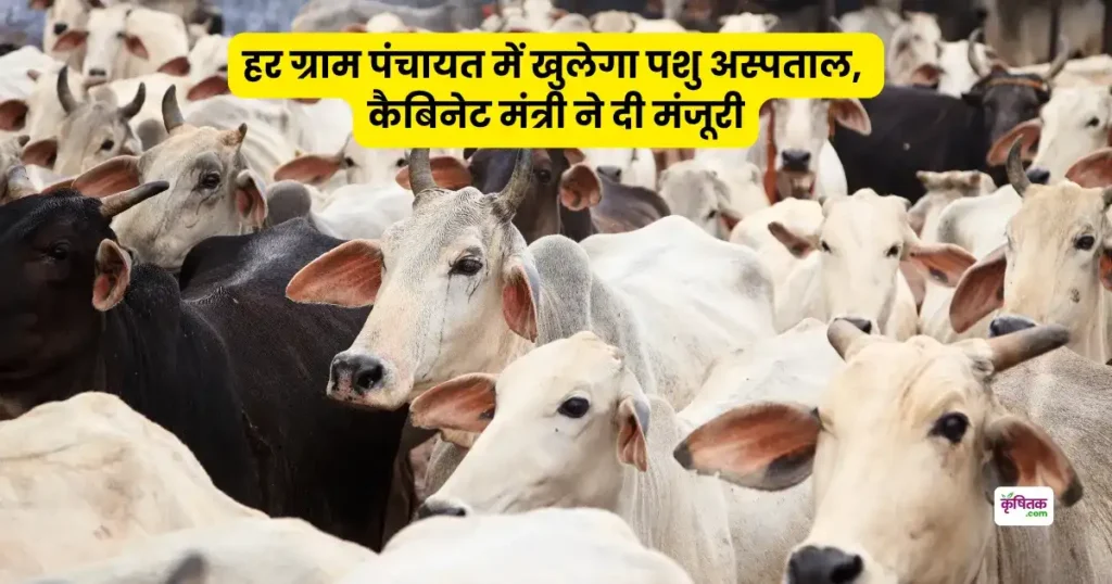 Animal hospital to be opened in every Gram Panchayat of Rajasthan