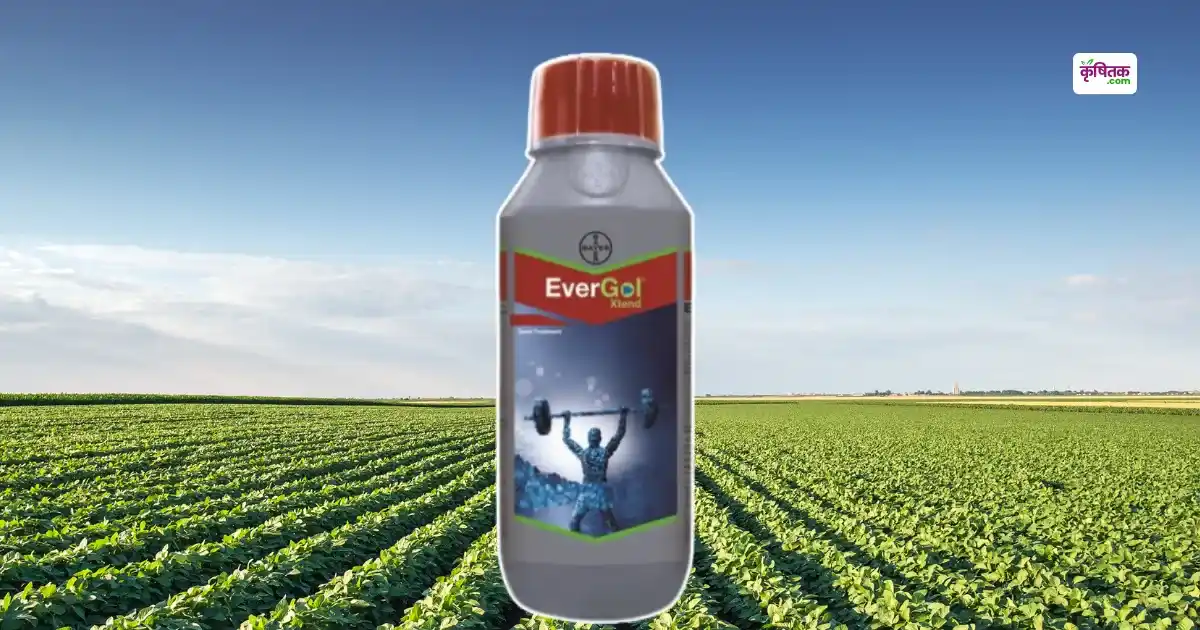 Bayer EverGol Xtend
