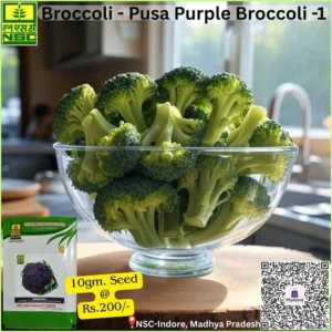Broccoli Farming