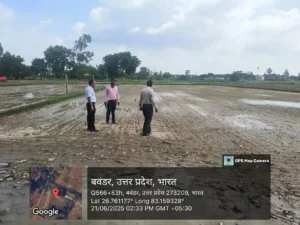 DSR Paddy Cultivation in UP