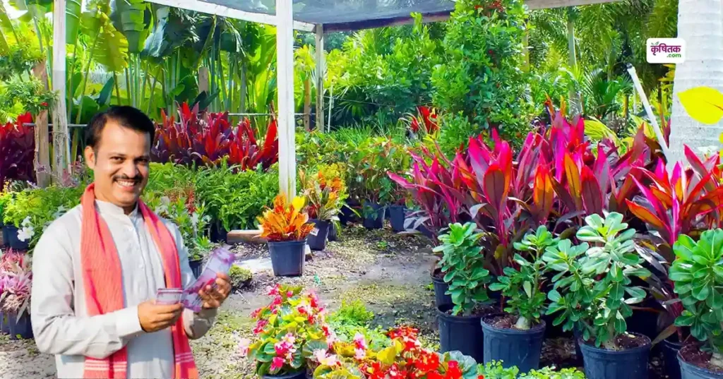farmers in bihar will get 50 percent subsidy on setting up nursery