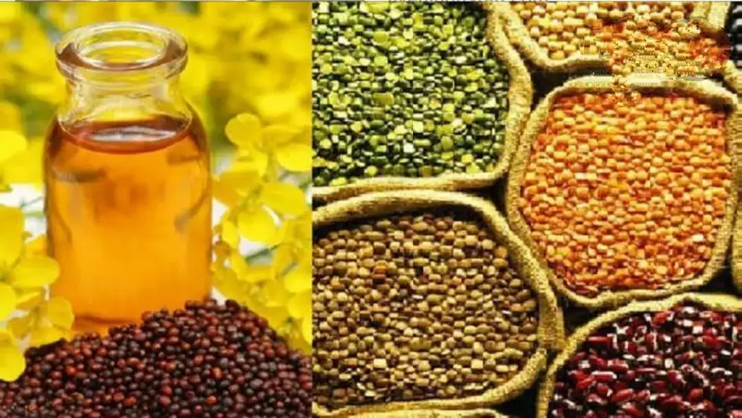 Farmers in UP will get pulses and oilseeds seed minikits for free