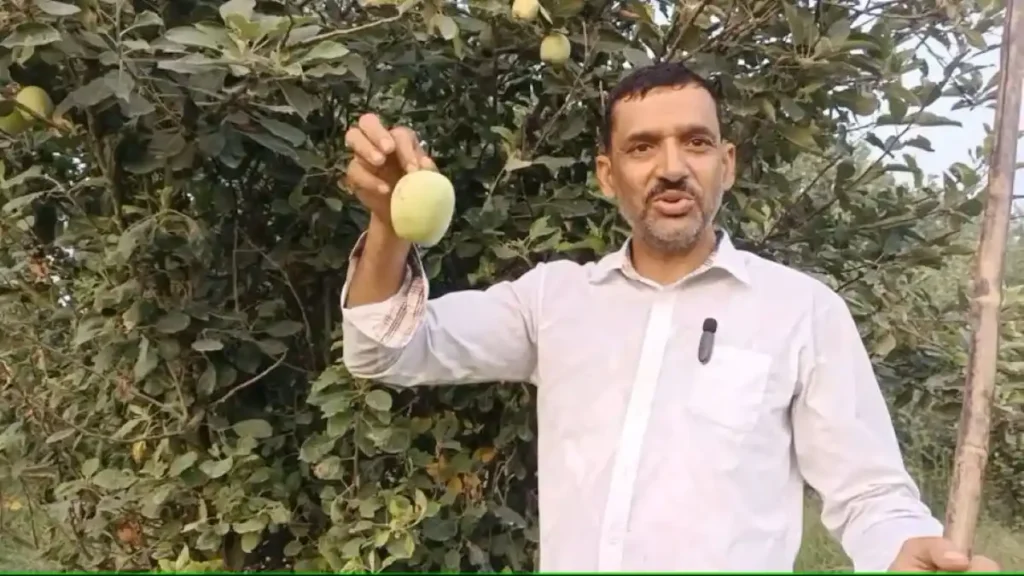 जहां चाह वहां राह! सहारनपुर के किसान ने यूट्यूब से सीखा तरीका, गोल्डन सेब से हो रही तगड़ी कमाई