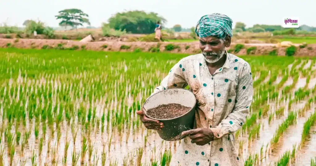 ICAR scientists issued special advice for UP paddy farmers