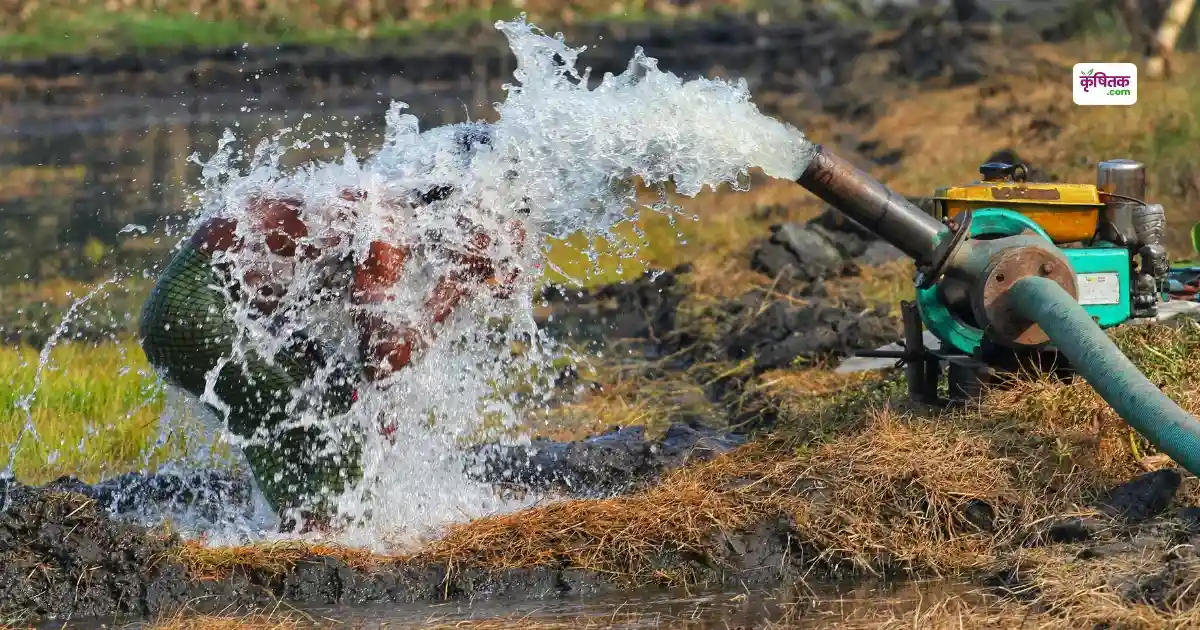 सिर्फ ₹5 में मिलेगा नया बिजली कनेक्शन! ऑनलाइन करें आवेदन, जानिए पूरी प्रक्रिया