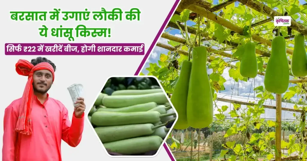PSPL Variety of Bottle Gourd