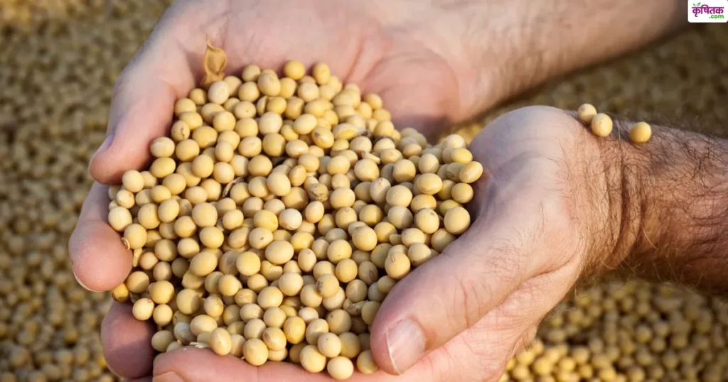Soybean JS 20-116 Variety