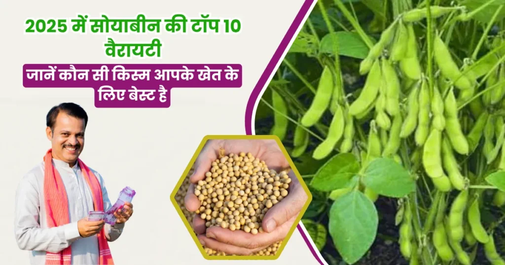 Soybean Top 10 Variety in 2025