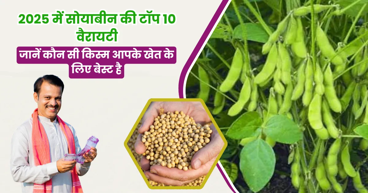 Soybean Top 10 Variety in 2025