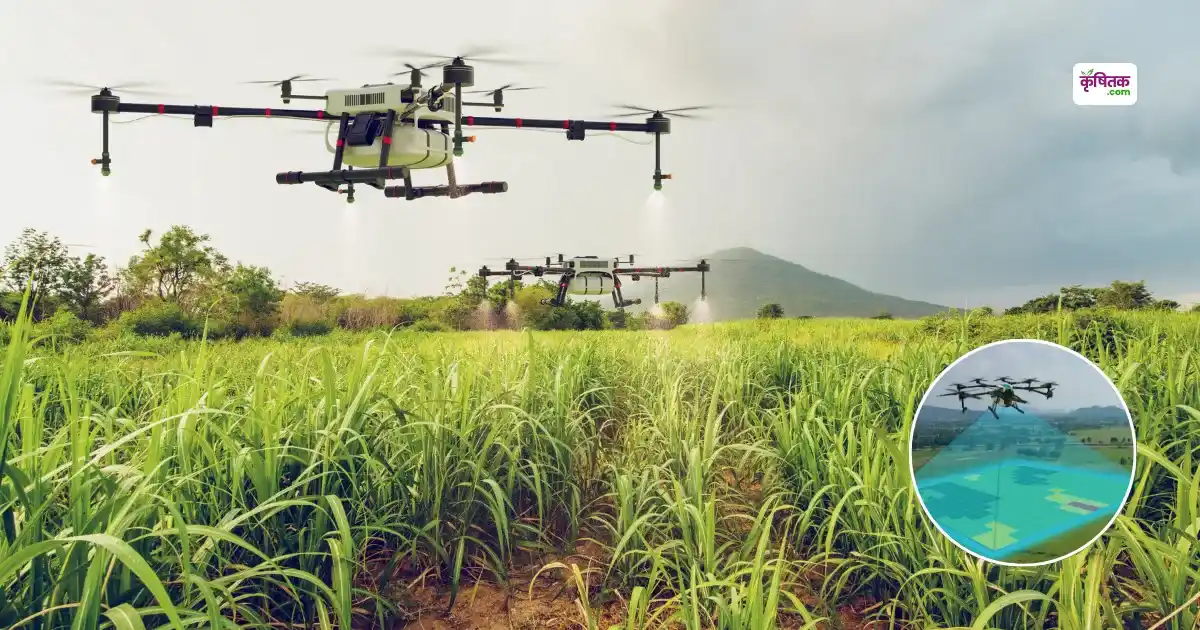 Top 5 Drone Companies in India