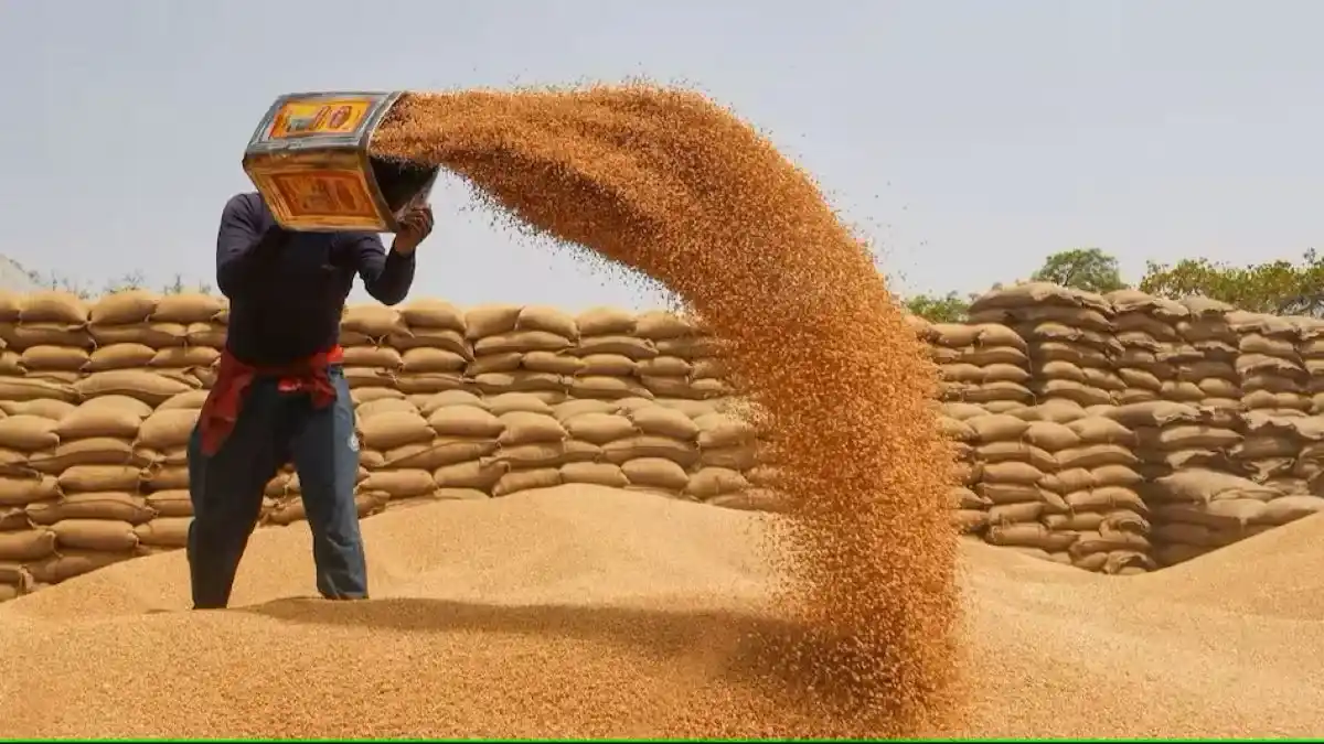 UP Wheat Procurement