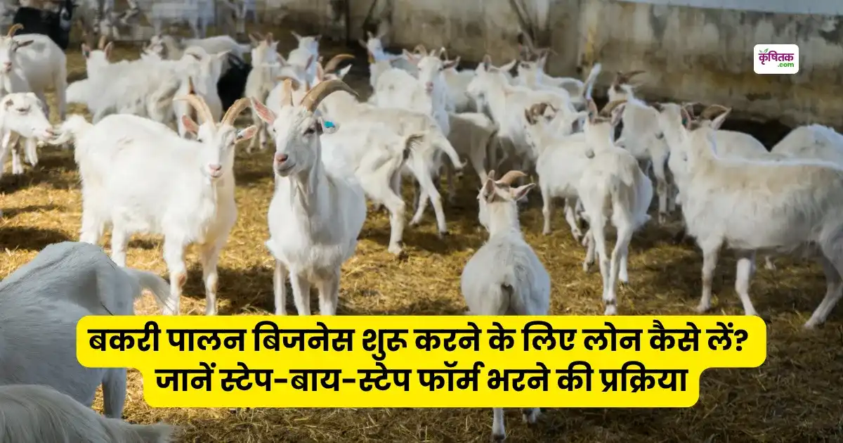bakri palan business shuru karne ke liye loan kaise lein