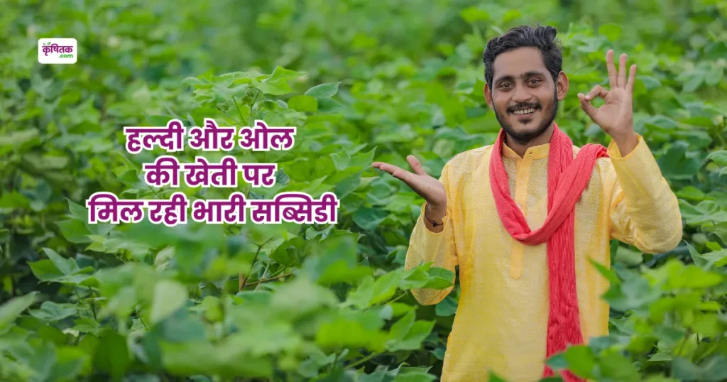 Subsidy On cultivation of turmeric and suran