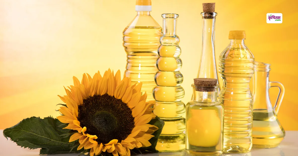 Edible oil