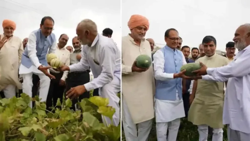 गेंहू के साथ तरबूज की खेती देख गदगद हुए केंद्रीय कृषि मंत्री, कहा ये शानदार तरीका है