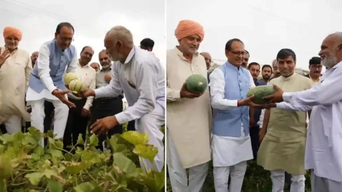 गेंहू के साथ तरबूज की खेती देख गदगद हुए केंद्रीय कृषि मंत्री, कहा ये शानदार तरीका है