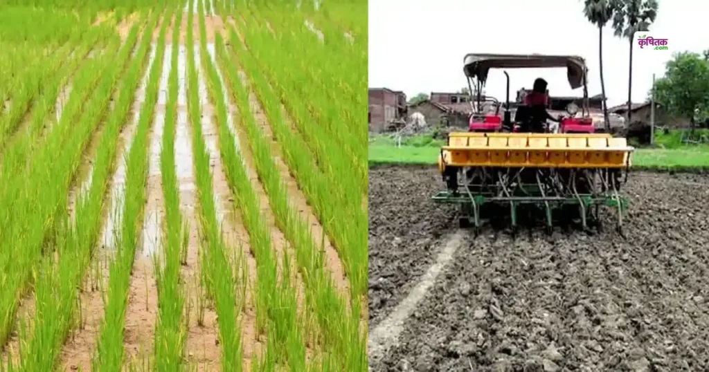 करनाल के किसानों को तोहफा! धान की सीधी बुवाई और दूसरी फसल पर सरकार देगी भारी सब्सिडी