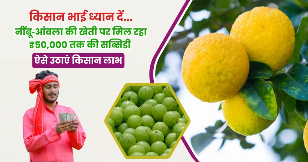 Bagwani Vikas Mission Yojana