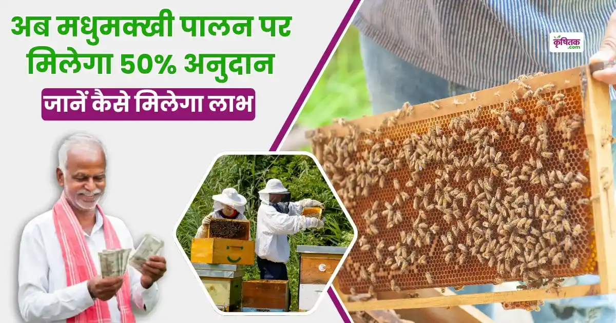 50% subsidy will be given on beekeeping Bihar government has approved the scheme