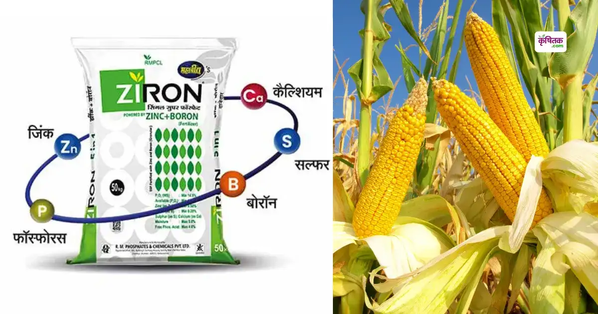 Mahaveera Zeron Power Plus