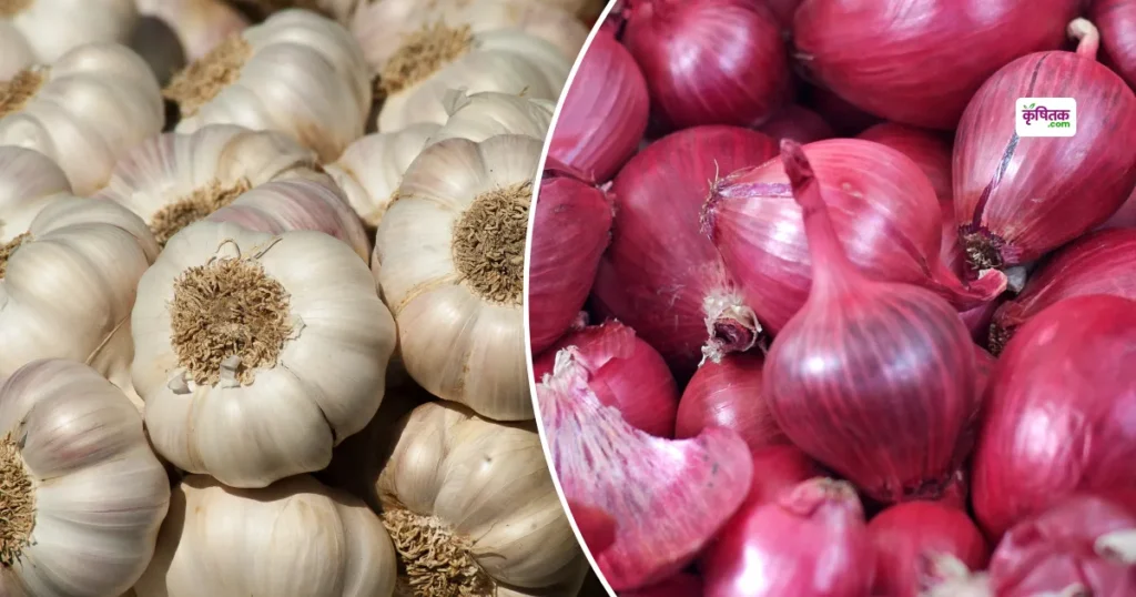 Onion-Garlic Mandi Price
