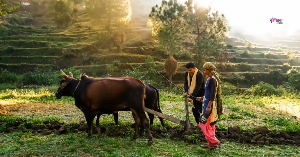 क्या जैविक खेती में है उज्ज्वल भविष्य? जानें मुनाफा, लागत और बाजार की सच्ची तस्वीर