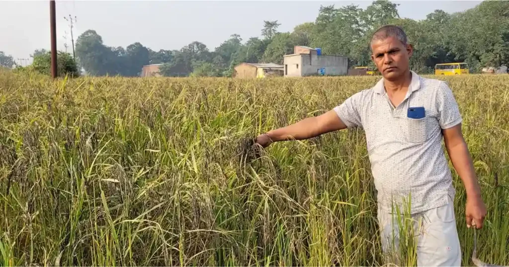 Purvanchal GI Tag Kala Namak Chawal