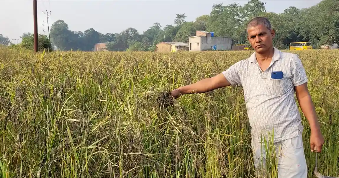 Purvanchal GI Tag Kala Namak Chawal