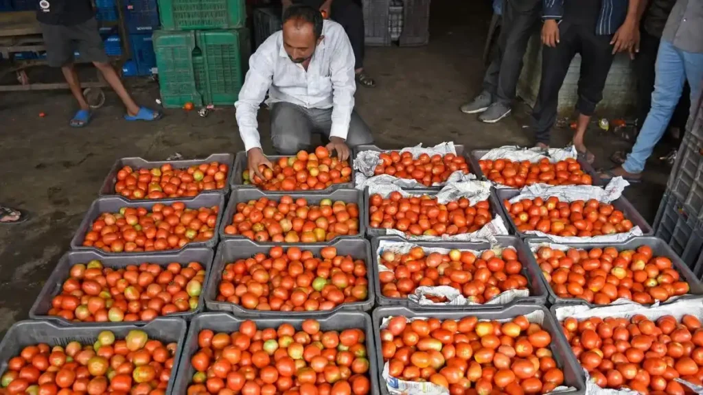 Tomato Mandi prices
