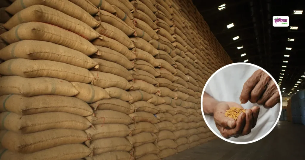 UP government is giving 50% subsidy on paddy seeds