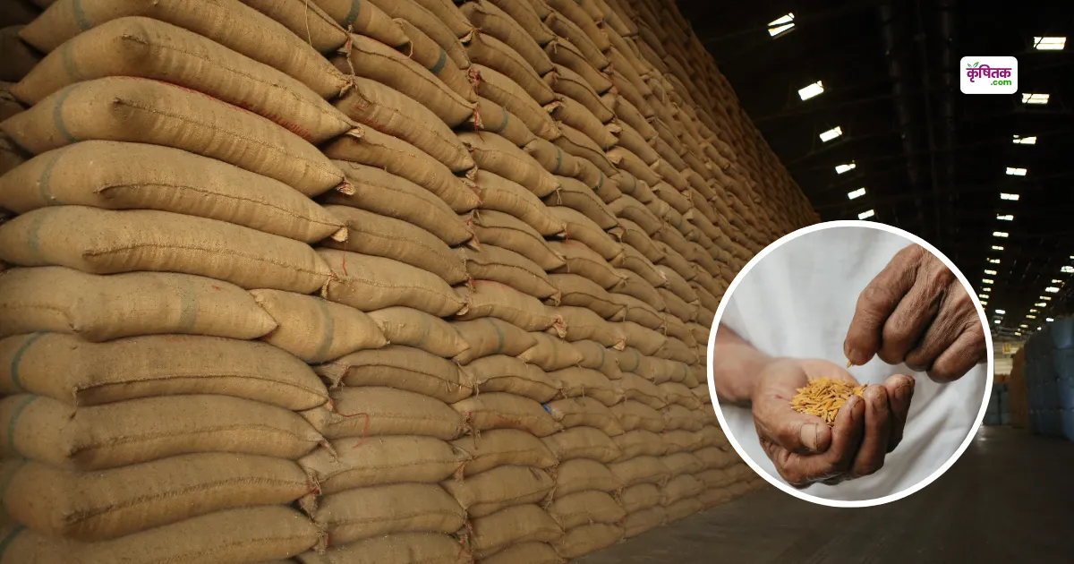 UP government is giving 50% subsidy on paddy seeds