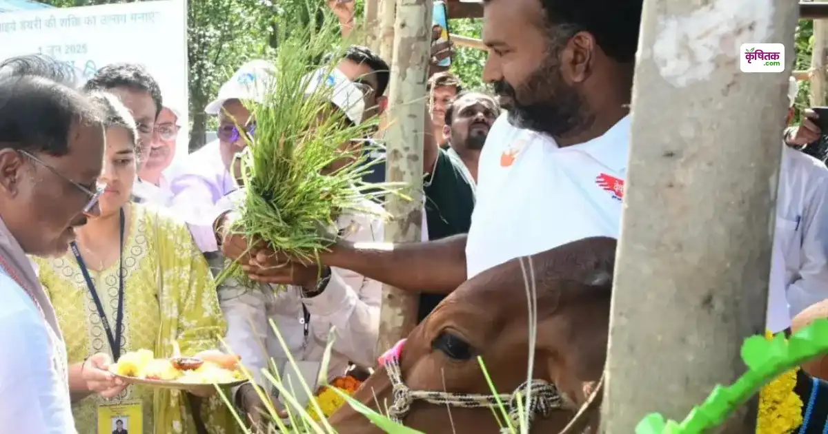 Dudharu Pashu Praday Yojna