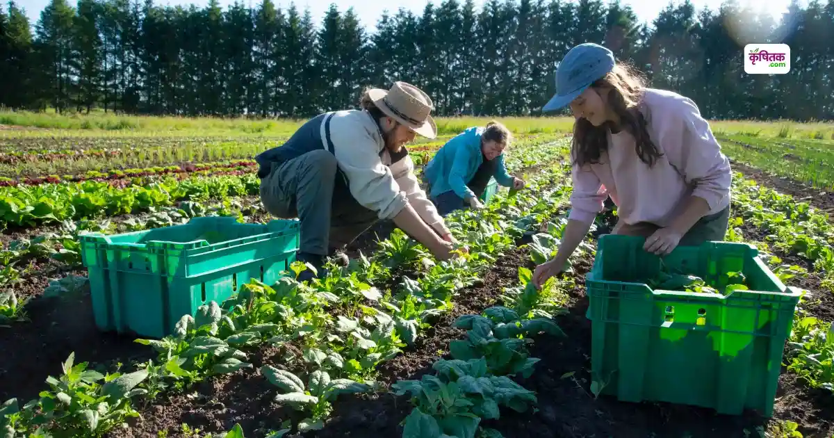 PKVY- Scheme Sustainable Agriculture