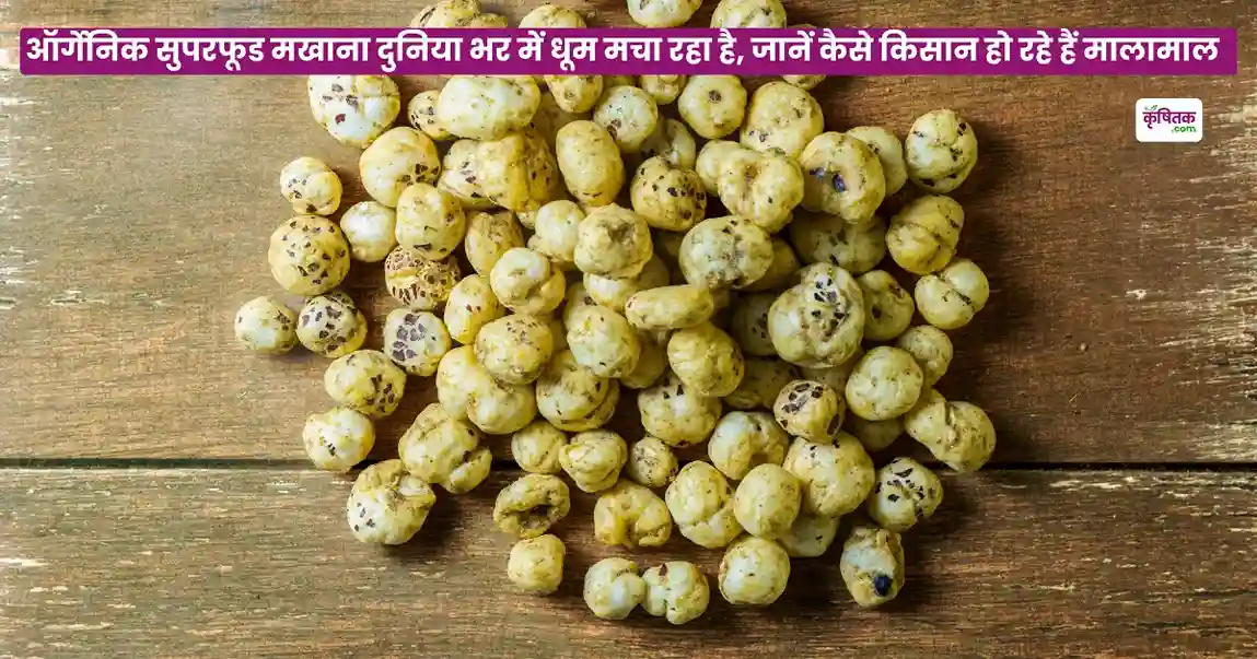 Organic Makhana Farming