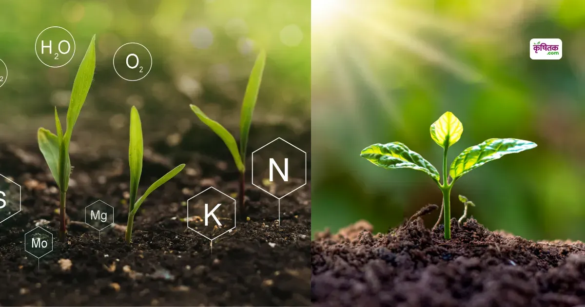 Soil Health