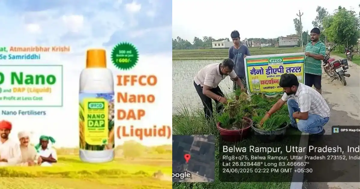 Nano Fertilizer for Paddy