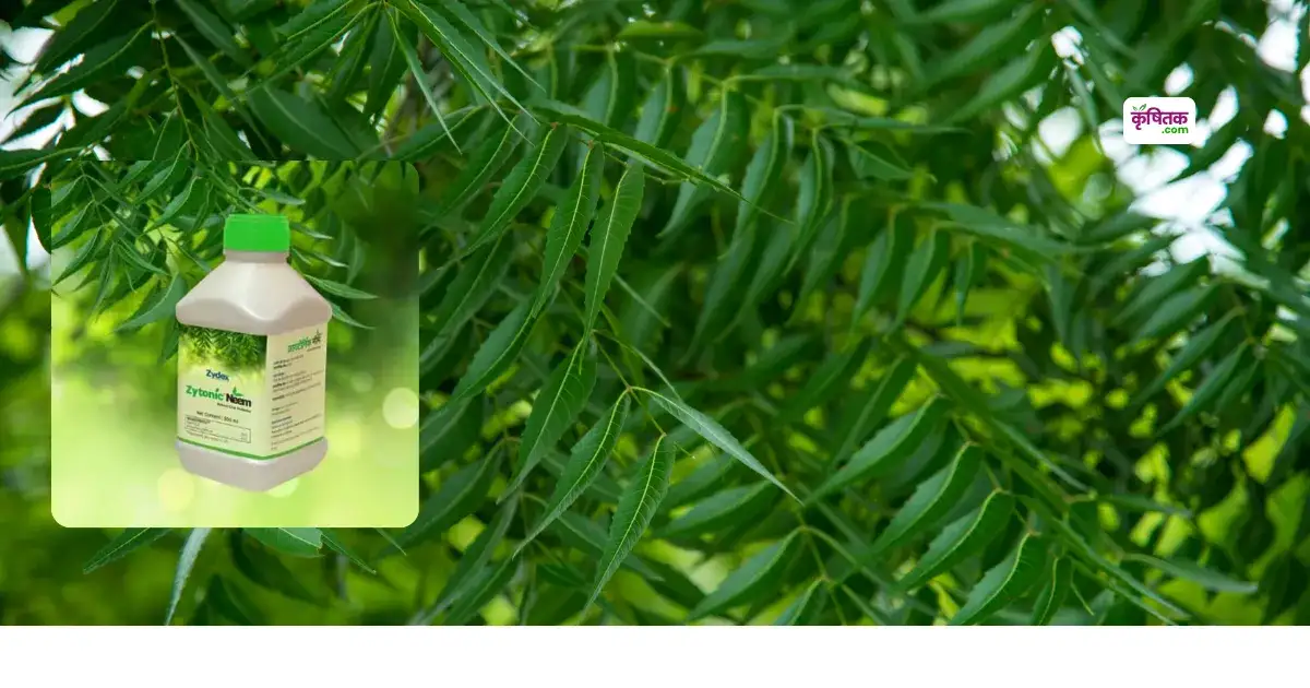 Zytonic Neem