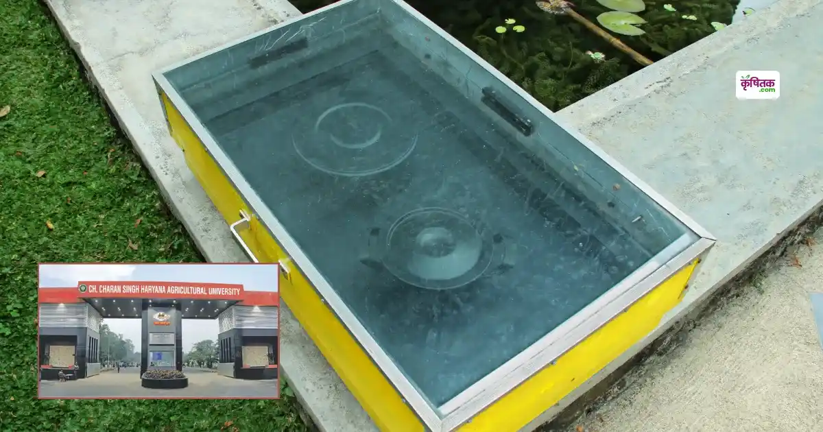 HAU Ka Solar Cooker