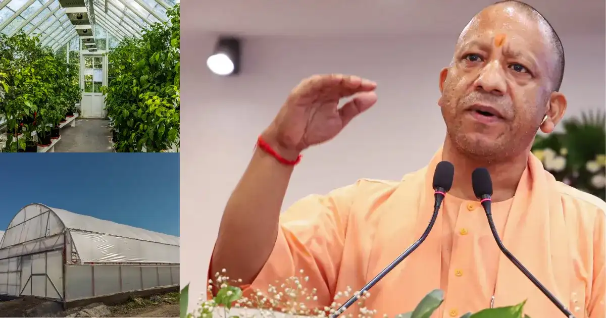 Green House And Polyhouse Scheme In UP