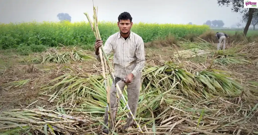 Bihar government will start ikh vikas yojana for farmers