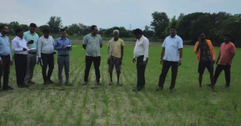 बस्ती में कृषि विभाग ने बांटे किसानों को मुफ्त मिल्लेट्स बीज, DSR का डेमो दिखाया