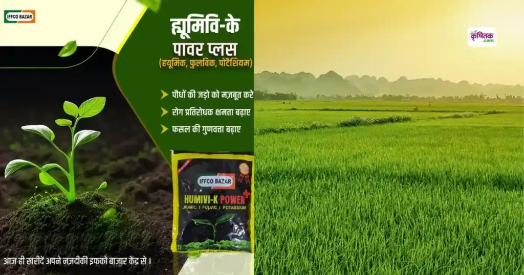 Dhaan Roapai Ke Baad Humivi K Ka Upyog