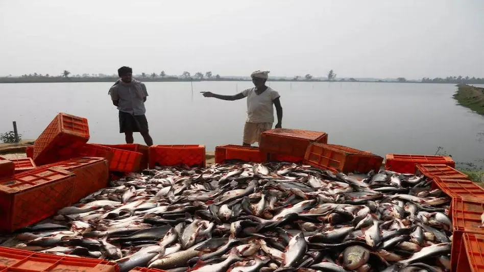 FISH FARMERS WEEK