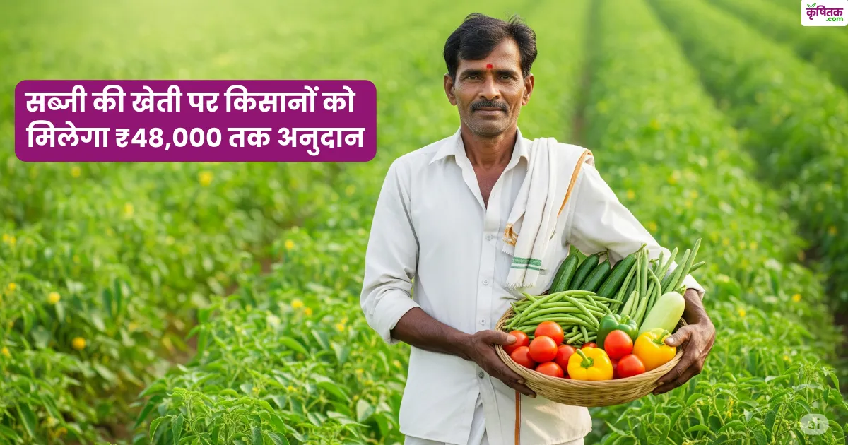 Hybrid Sabji Kshetr Vistar Yojana 2025