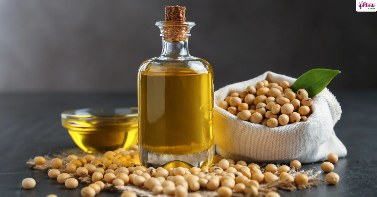 Soybean Oil Price