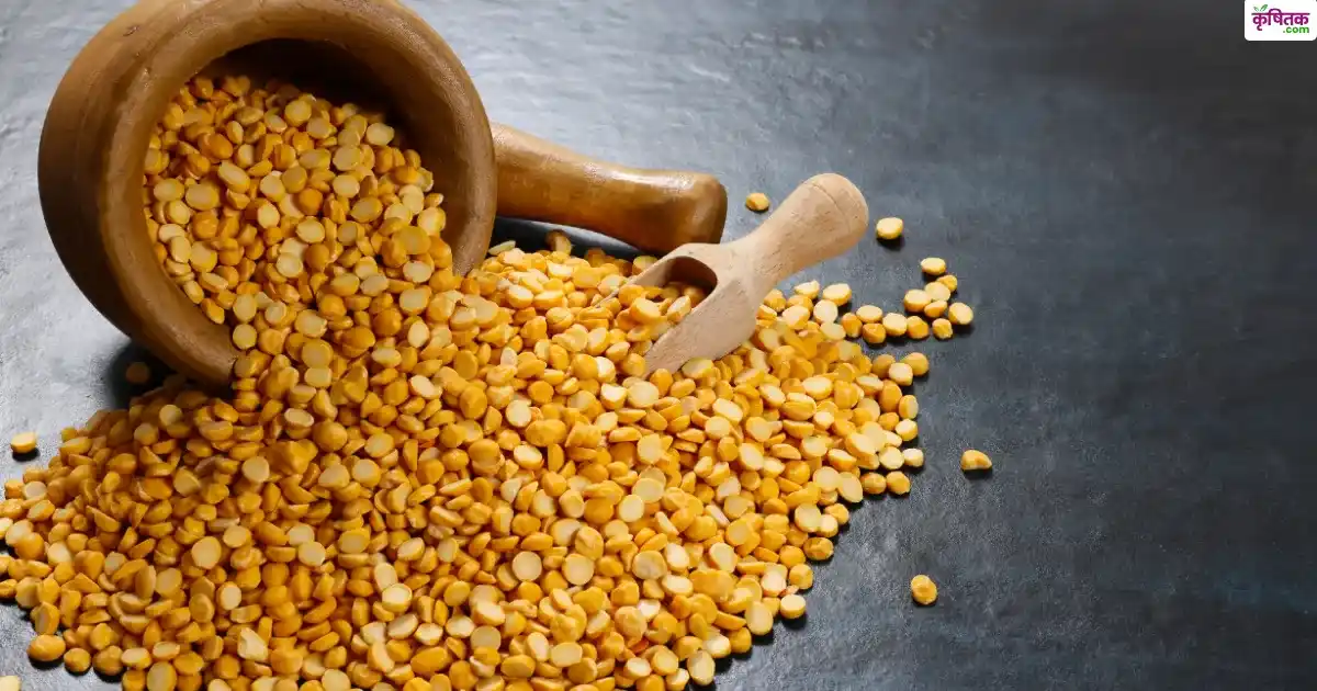 Toor Dal Price