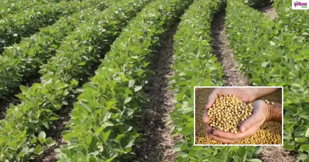 Weed Control in Soybean Farming