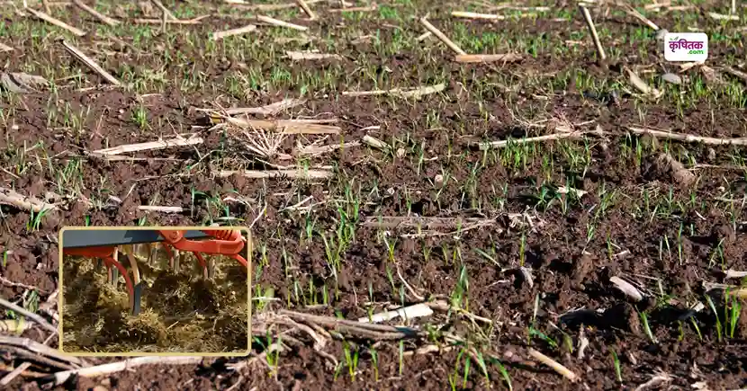 Zero Tillage Farming